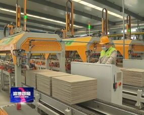 維統(tǒng)科技粉煤灰制新型建材產(chǎn)品項(xiàng)目示范線成功試運(yùn)行，開啟固廢資源化利用新篇章